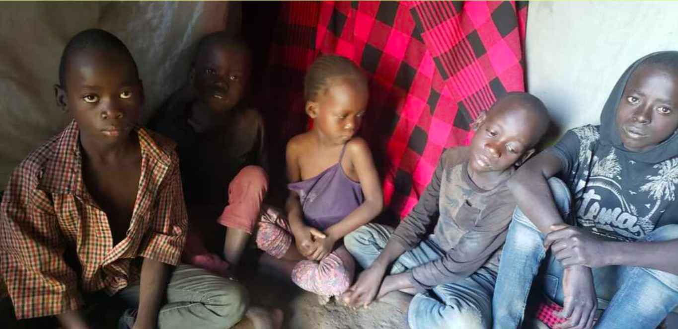 Screenshot 2026-02-15 at 08.53.50